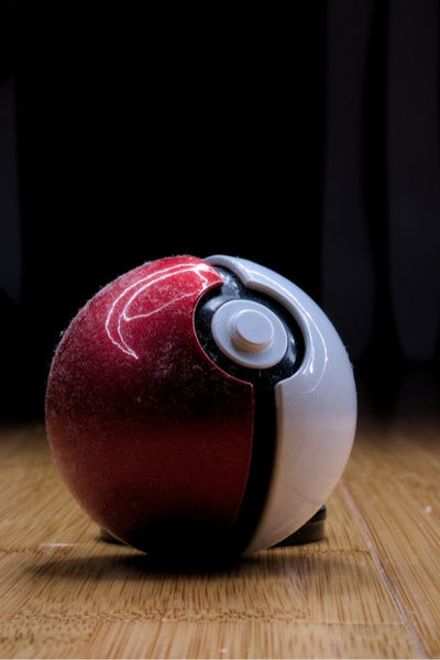 Pokémon Warrior