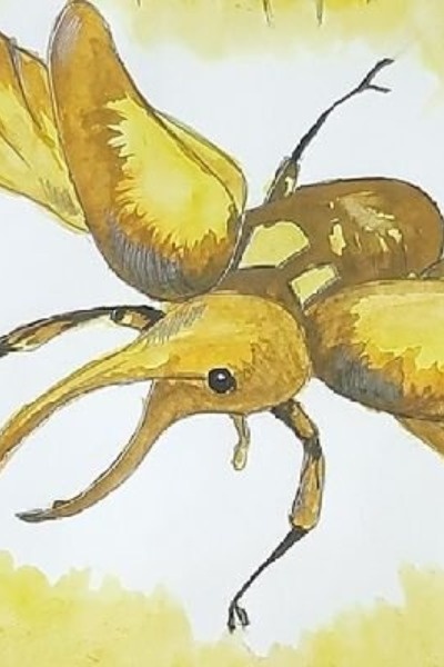 The Dung Beetle’s Dragon Dynasty