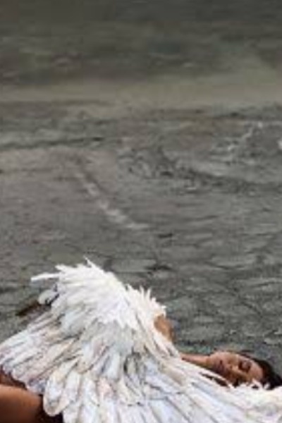 Fallen
