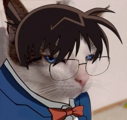 Conan: I’m Not a Psychopath