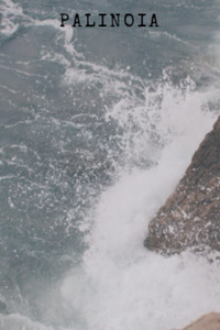 Palinoia