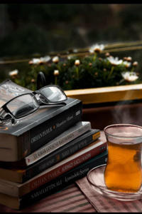 The Books That I Didn't Read