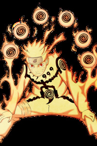 The New Team 7