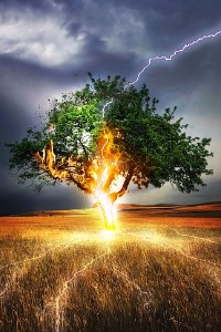 Dragonfall: Enchantment