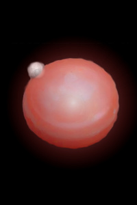Dungeon Pearl