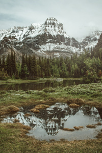 The Rockies Secrets