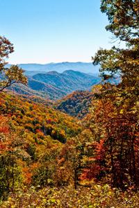 Dwarves of Appalachia