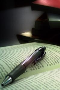 The Writer