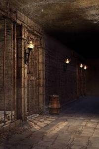 I Own A Dungeon