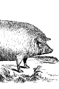 Heaven's Grip : Orcs of Iaoue