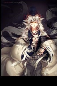 Kitsune in Rockford