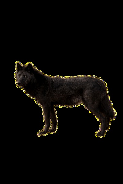 Through the Realm: A Litrpg Isekai story