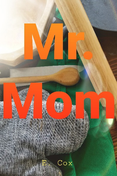 Mr. Mom