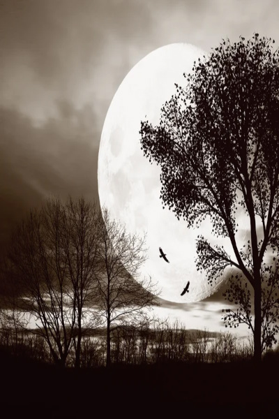 In the Dead of Night: That Which Binds Our Fate, Book 1