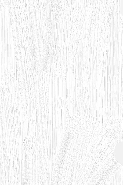 Blank Canvas