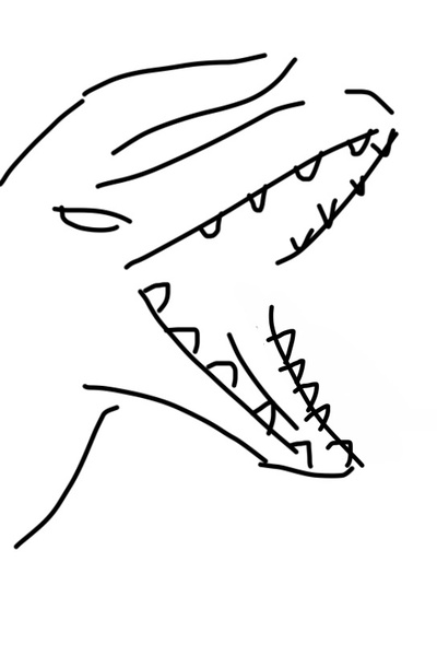 Transported Dragon