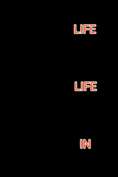 NEW LIFE IN NEW WORLD