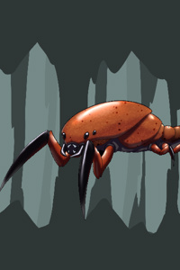 Parasite