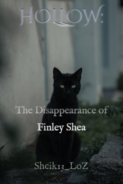Hollow: The Disappearance of Finley Shea